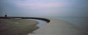 Another from the lakeshore