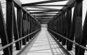 Tucson Bridge