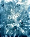 Blue Leaf