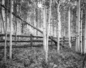 img026