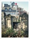 Through the graves the wind is blowing