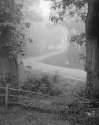 Foggy Day