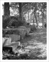 boneyard