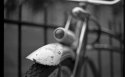 Portland Bike