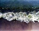 Ebb and Flow