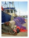 Fishing fleet
