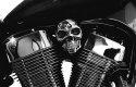 The Skull