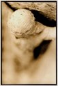 Lith Print 2