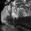 Foggy Sunday