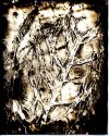 Asparagus-Chemigram