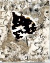 Beech Leaf -01