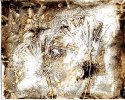 Pine Sprigs-02