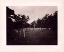 Mission Church Cemetery - Wine Print