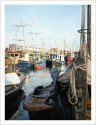 fishing fleet