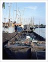 fishing fleet