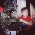 by the tree