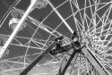 In the Web
