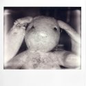Impossible Faces no. 5 (Tough Bunny)