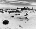 Mungo National Park