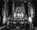 The Buddha