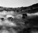 Clearing fog.