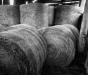 Hay Bales.