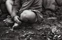 legs and leaves