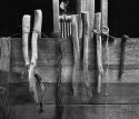 Tools, shearing shed.