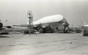Pregnant Guppy, 1976