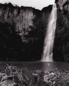 Howick Falls and Flowers