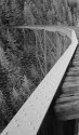 Ladner Creek Bridge
