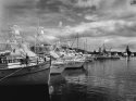 Bermagui Harbour.