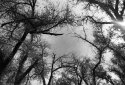 A short walk