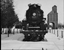 snow-locomotion