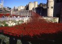 Sea of Blood