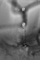 MSA H2O Isolated
