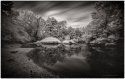 Marys River IR