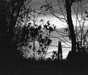 silouette spire