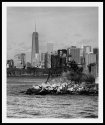 Freedom Tower Revisited
