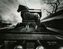 Horse on the grill