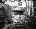 Zen Temple