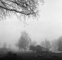 Forgotten film