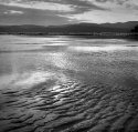 Low tide.