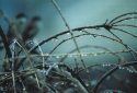 MSA-H2O Isolation: Droplets