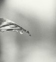 MSA H2O Isolation: One drop