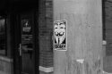 disobey