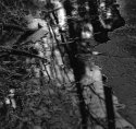 Late afternoon light in winterwood