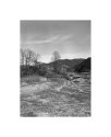 a few from the countryside...