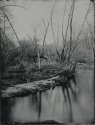 Creek In Spring III