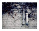 img001cweb
